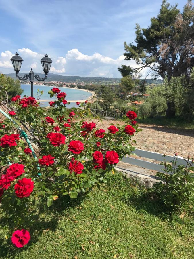 Villa In Cavo Kastri Residence Никити Екстериор снимка